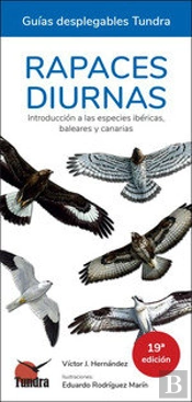 Rapaces Diurnas