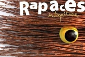 Rapaces En Aquitaine ; Des Activités Pour Découvrir Ces Drôles D'Oiseaux