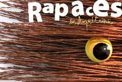 Bertrand.pt - Rapaces En Aquitaine ; Des Activités Pour Découvrir Ces Drôles D'Oiseaux