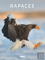 Rapaces, Entre Ciel Et Terre