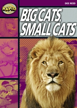 Bertrand.pt - Rapid Reading: Big Cats Small Cats (Stage 1, Level 1a)