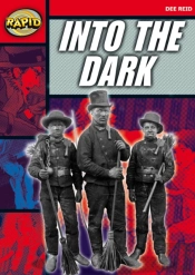 Rapid Reading: Into The Dark (Stage 5, Level 5a)