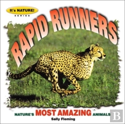 Bertrand.pt - Rapid Runners