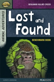 Rapid Stage 7 Assessment Book: Lost And Found