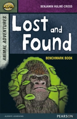 Bertrand.pt - Rapid Stage 7 Assessment Book: Lost And Found