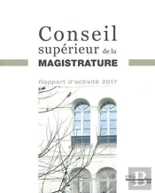Rapport D'Activite 2017