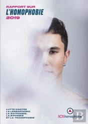 Rapport Sur L'Homophobie 2019