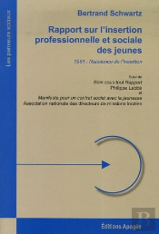 Rapport Sur L'Insertion Professionnelle Et Sociale Des Jeunes