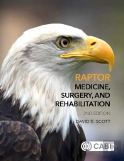 Raptor Medicine, Surgery, And Rehabilitation
