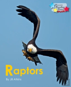 Bertrand.pt - Raptors