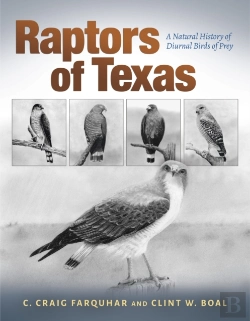 Bertrand.pt - Raptors Of Texas