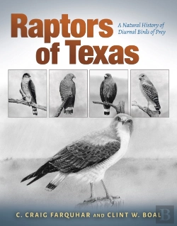 Bertrand.pt - Raptors Of Texas