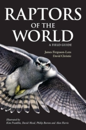 Raptors Of The World: A Field Guide