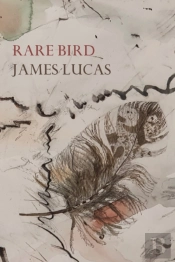Rare Bird