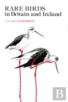Rare Birds In Britain And Ireland