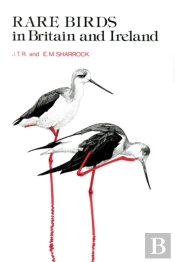 Rare Birds In Britain And Ireland