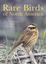 Rare Birds Of North America