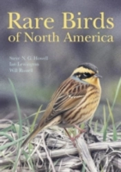 Rare Birds Of North America