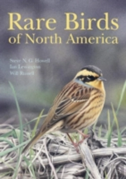 Bertrand.pt - Rare Birds Of North America