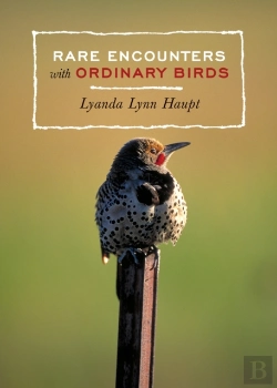 Bertrand.pt - Rare Encounters With Ordinary Birds