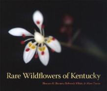 Rare Wildflowers Of Kentucky