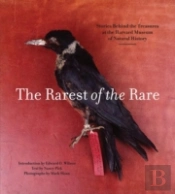 Rarest Of The Rare: The Stories Behind The Harvard Museum Of Natural History