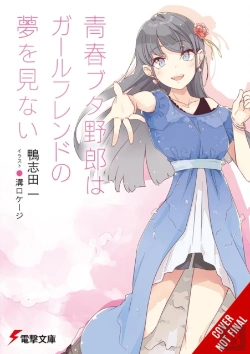 Bertrand.pt - Rascal Does Not Dream Of His Girlfriend (Light Novel)