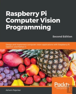Bertrand.pt - Raspberry Pi Computer Vision Programming