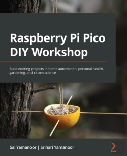 Bertrand.pt - Raspberry Pi Pico Diy Workshop