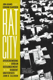 Rat City