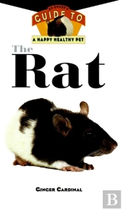 Rat