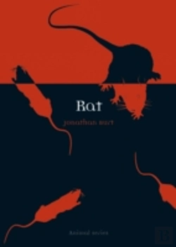 Bertrand.pt - Rat