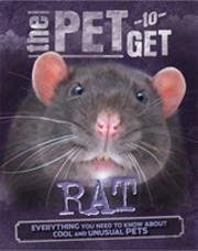 Rat