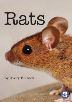 Bertrand.pt - Rats