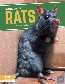 Bertrand.pt - Rats
