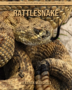 Bertrand.pt - Rattlesnake