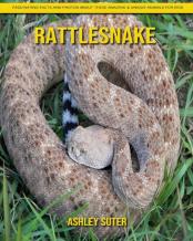 Rattlesnake