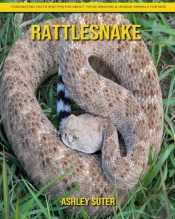 Rattlesnake