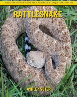 Bertrand.pt - Rattlesnake
