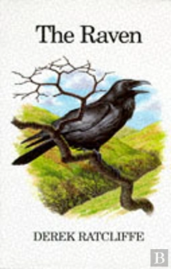 Bertrand.pt - Raven