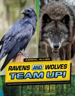 Ravens And Wolves Team Up!