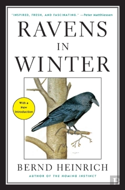 Bertrand.pt - Ravens In Winter