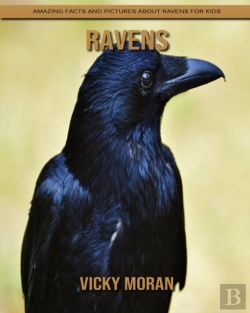 Bertrand.pt - Ravens