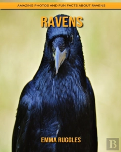 Bertrand.pt - Ravens