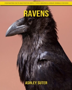 Bertrand.pt - Ravens