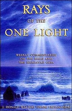 Bertrand.pt - Rays Of The One Light