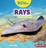 Rays