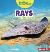 Rays