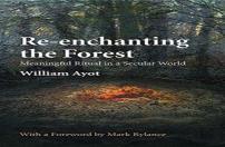 Re-Enchanting The Forest