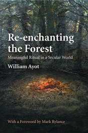 Re-Enchanting The Forest